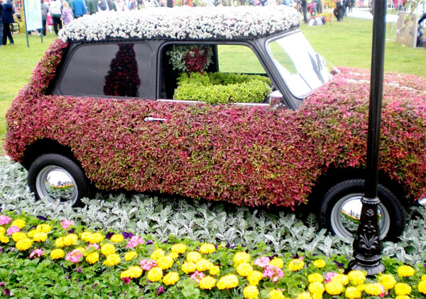 Auto Verdi - Fiori