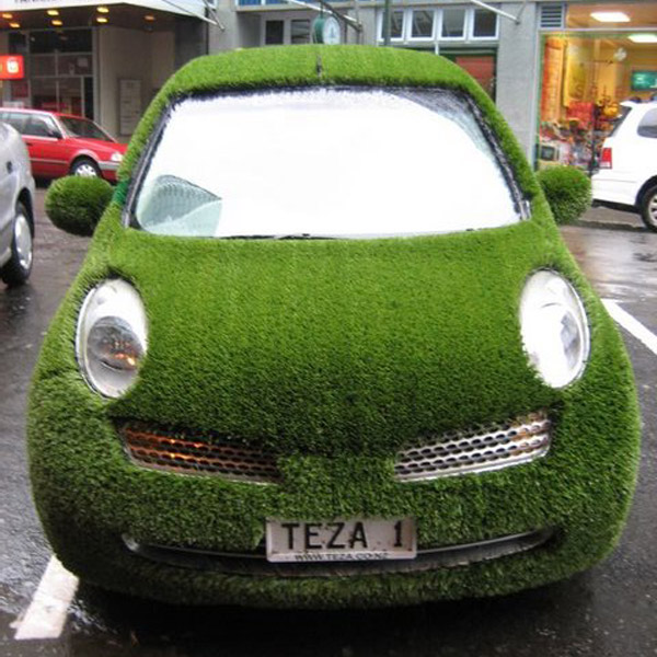 Auto Verdi - Prato