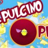 Pulcino Pio Radio Globo