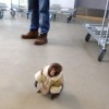 Scimmietta col cappotto da Ikea 1
