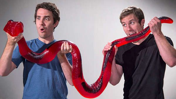 Party Python 1