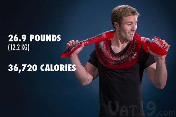Party Python: peso e calorie