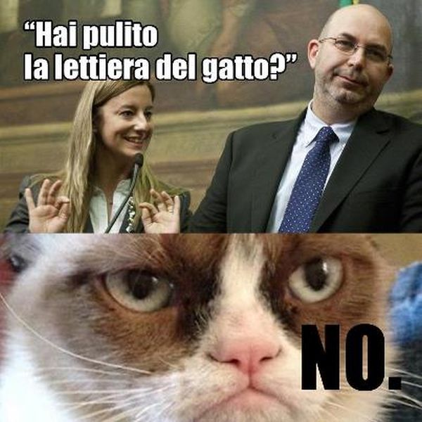 Crimi e Lombardi rifiutano pulire lettiera