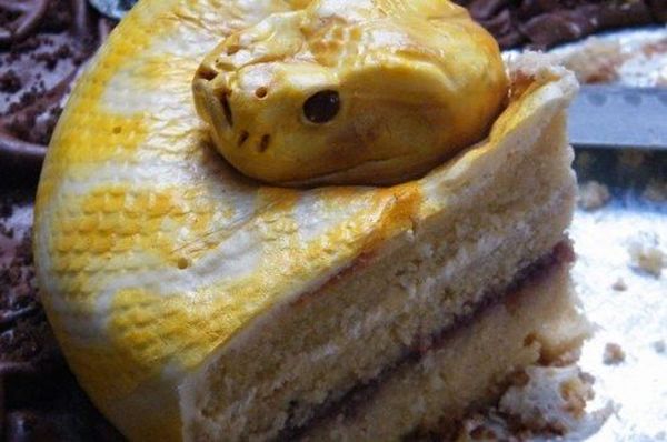 Torta a forma di serpente: fetta