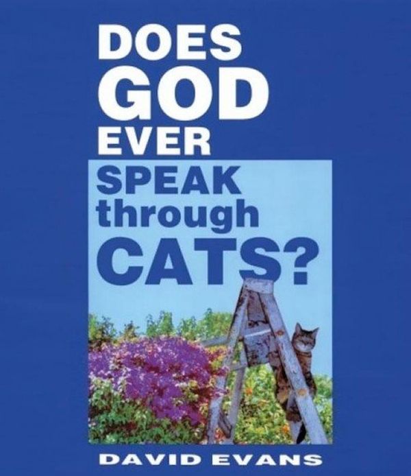 Does God Ever Speak Through Cats?