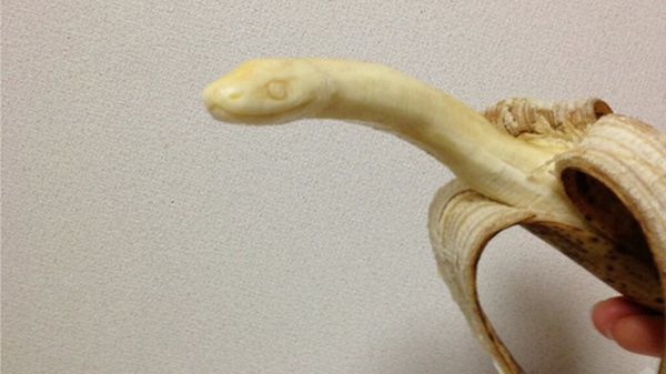 scultura-banana: serpente