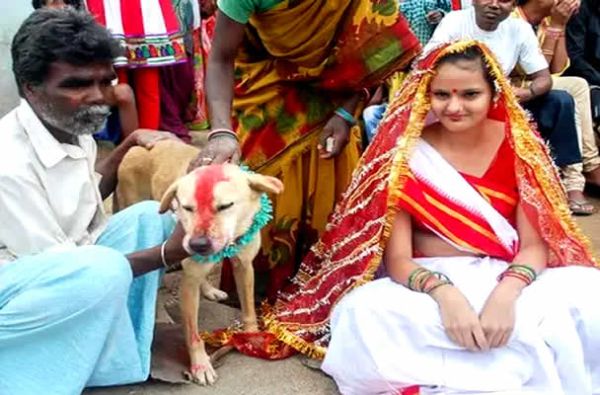 ragazza sposa un cane randagio 2