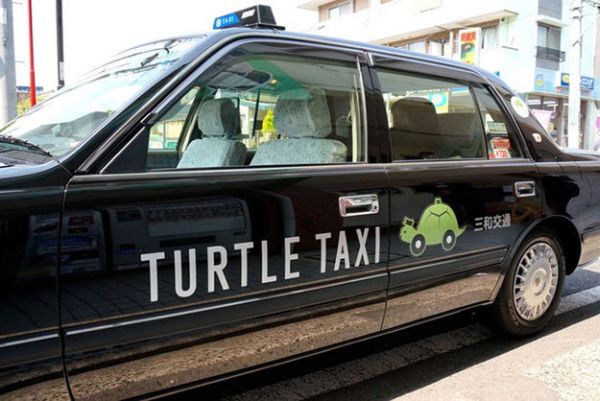 turtle-taxi 1