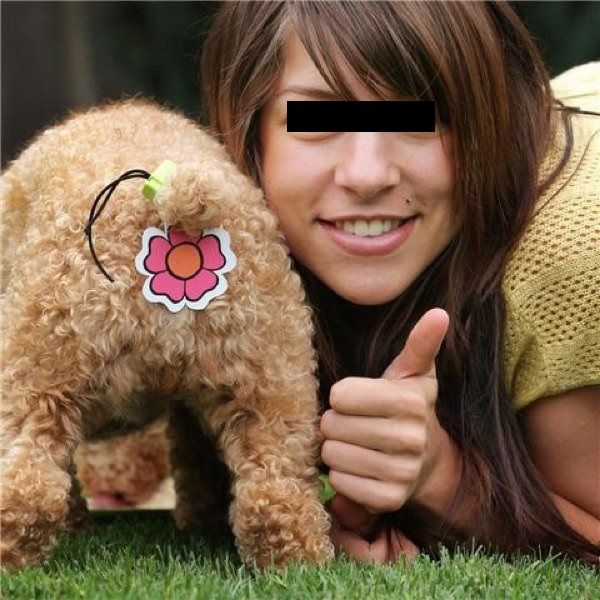 intimo per cani